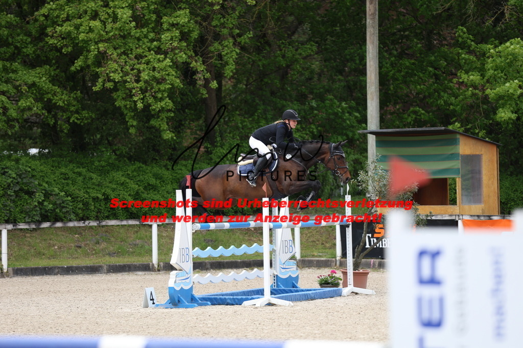 A40A4708 | lmwpictures - Realisiert mit Pictrs.com