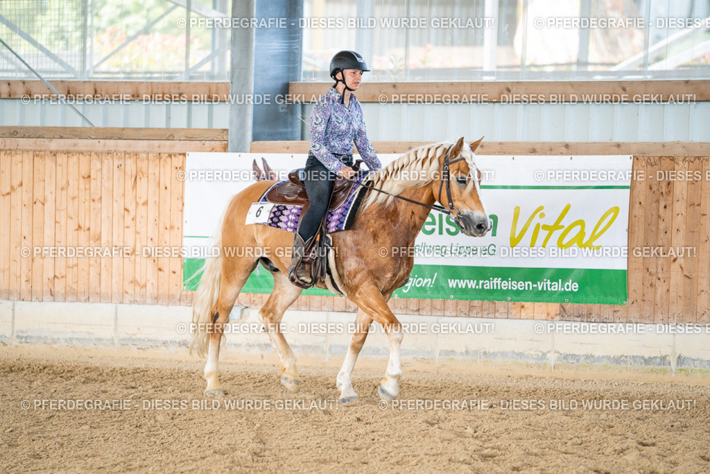 DSC02477 | Pferdegrafie