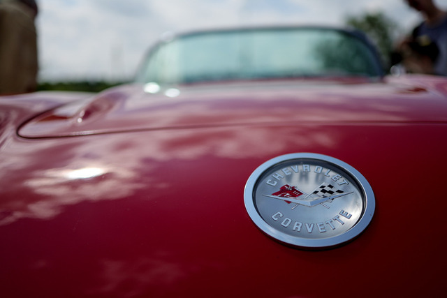 Calag_Oldtimer2025-33 | Ich fotografiere Hundeausstellungen, Sportanlässe, Zuchtstätten, Hundezucht, Hundeportrait, Lagotto - Realisiert mit Pictrs.com