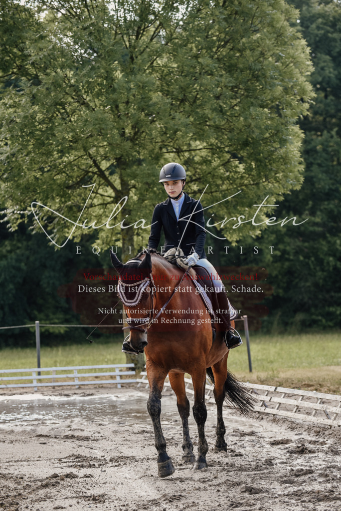 DSC_8100 | Pferde- und Turnierfotografie in Westsachsen. Pferdeportraits, Auftragszeichnungen und intuitive Kunst.