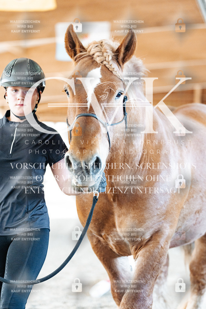 CK906304 | Turnierfotografie Pferdefotografie Trier Rheinland-Pfalz Pferdesport Reitsport Tierfotografie Sportfotografie Pferdevideo Pferdevideografie Equestrianvideography equestrianphotography  - Realisiert mit Pictrs.com