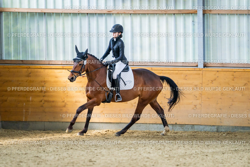 DSC03700 | Pferdegrafie