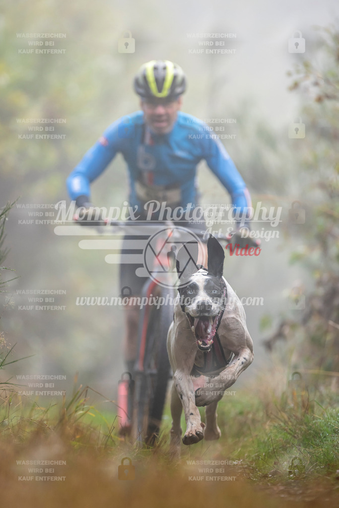 MompixPhotography_20TSB_E4_DS1-64 | PayLife