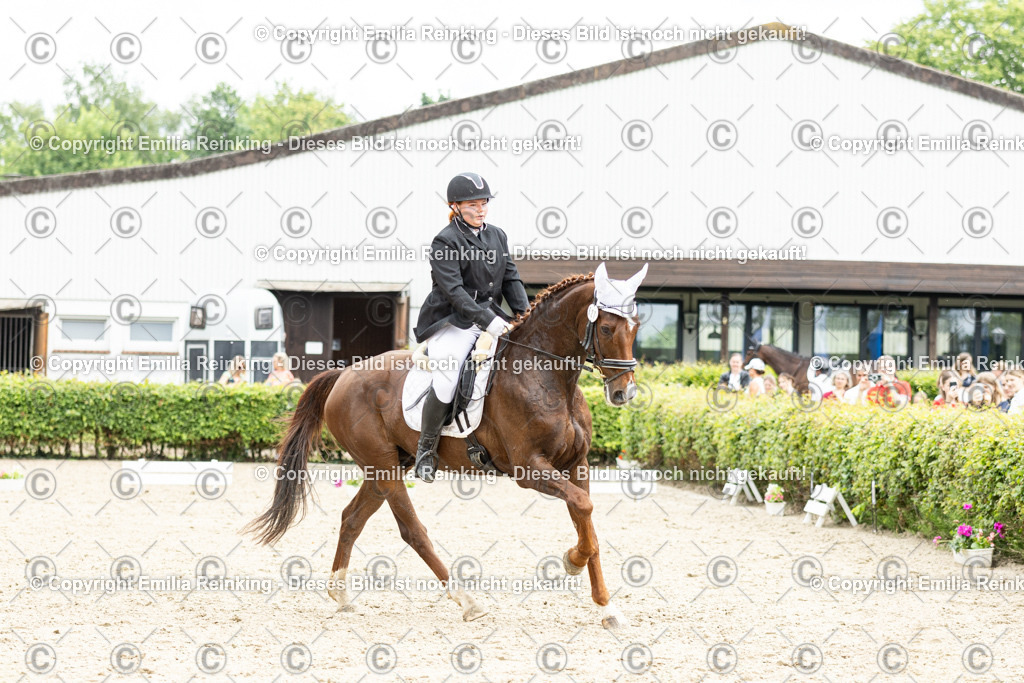 CL5A1816 | Emilia Reinking Fotografie - Realisiert mit Pictrs.com