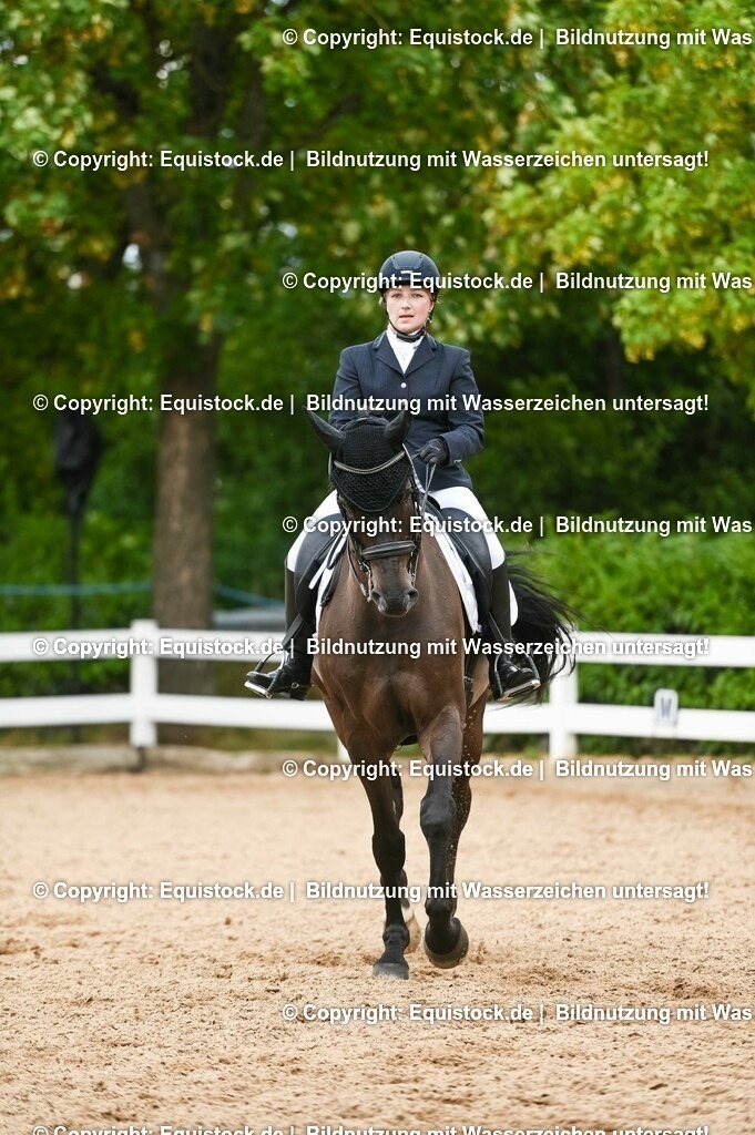 20230716_01_Dressurprüfung Kl.M_0407 | equistock
