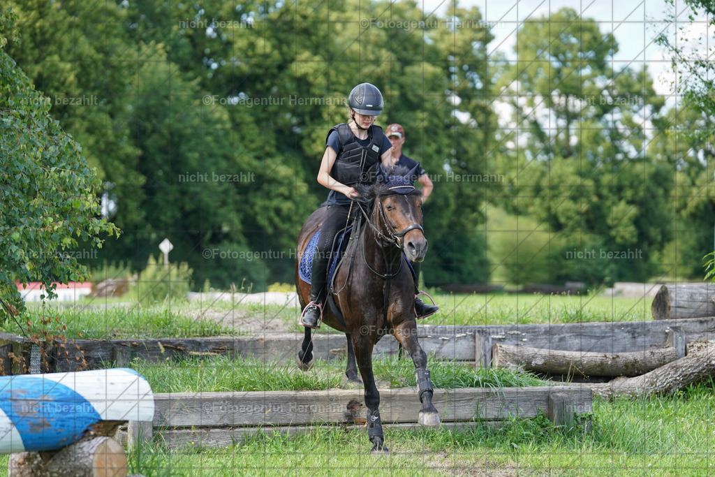20240622-FAH08045 | Turnierfotografen Bayern, Reitsportbilder aus dem Geländekurs mit Felix Etzel auf dem Gut Waitzacker 2024