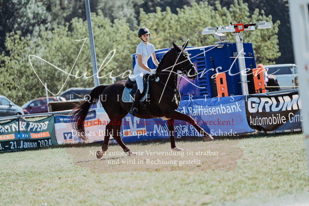 DSC_6677 | Pferde- und Turnierfotografie in Westsachsen. Pferdeportraits, Auftragszeichnungen und intuitive Kunst.