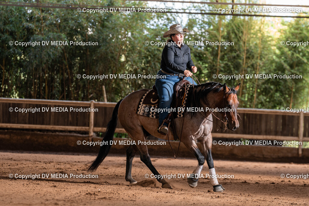 Erbach Tag 2-0992 | dv-media-shop - Realisiert mit Pictrs.com