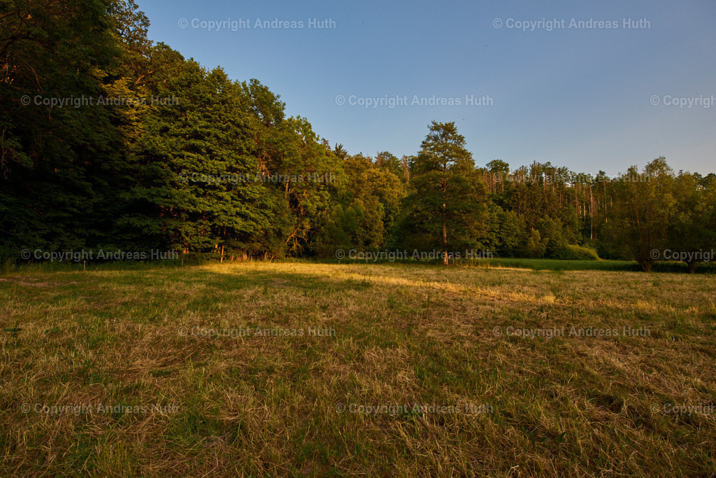 Im NSG Aumatal nahe der Prellmühle 05 | Bedeutsame Landschaften Deutschlands - Realisiert mit Pictrs.com
