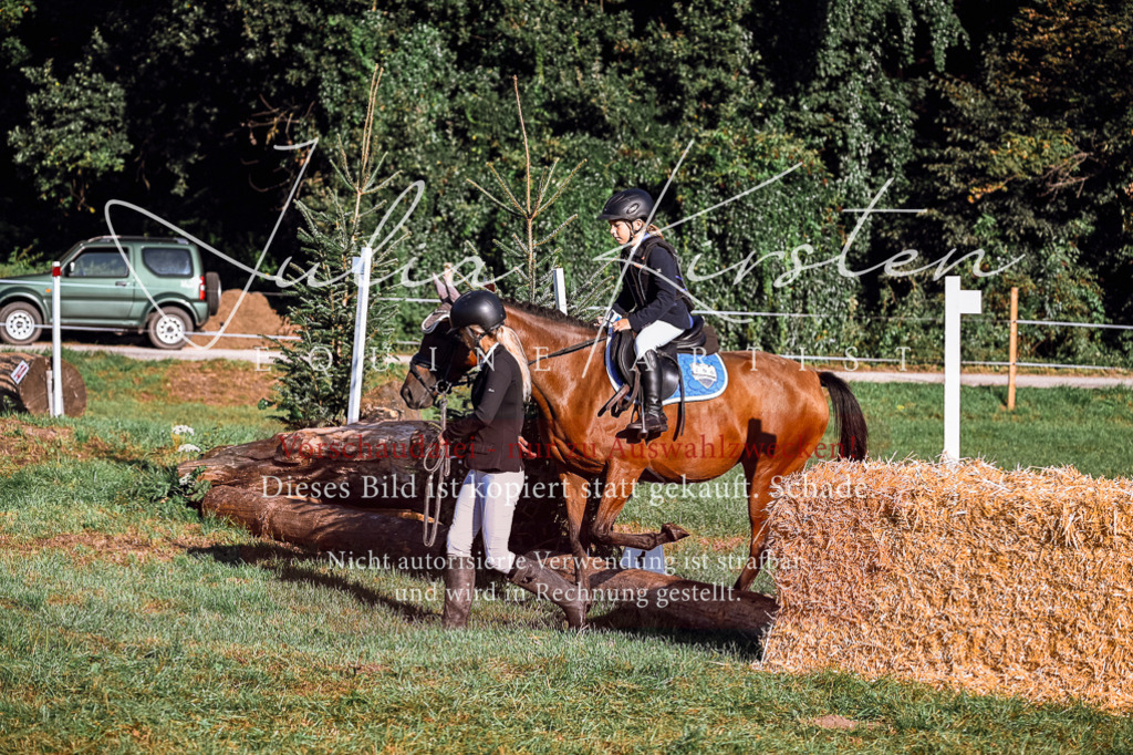 DSC_0214 | Pferde- und Turnierfotografie in Westsachsen. Pferdeportraits, Auftragszeichnungen und intuitive Kunst.