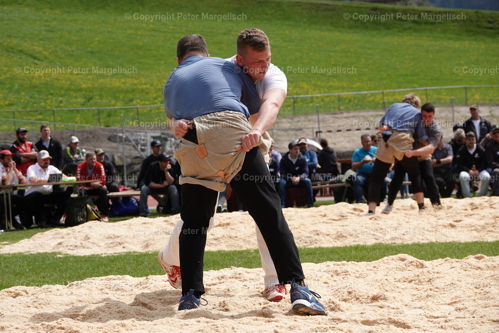 DSC03137 | Schwingen - Realisiert mit Pictrs.com