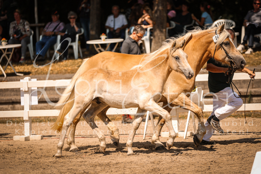 06.DoH00108 | Leoni Ertmer Photography - Realisiert mit Pictrs.com