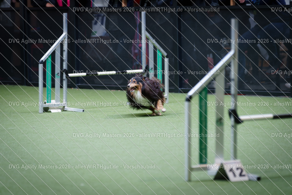 allesWIRTHgut_Tierfotografie-DVG_Agility_Masters_2026-14_57-7R505810 | Professionelle Tierfotografie in Mönchengladbach von Daniel Wirth (allesWIRTHgut). Liebevolle & natürliche Bilder von Hunden & Katzen für unvergessliche Erinnerungen.