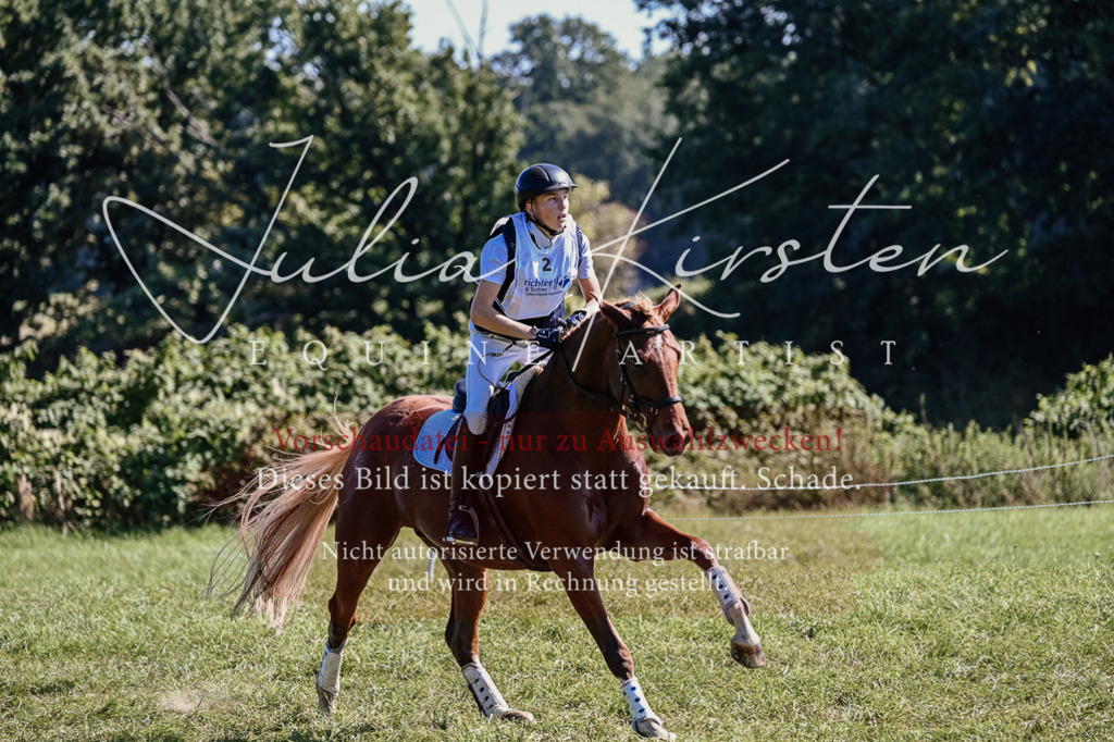 DSC_1366 | Pferde- und Turnierfotografie in Westsachsen. Pferdeportraits, Auftragszeichnungen und intuitive Kunst.