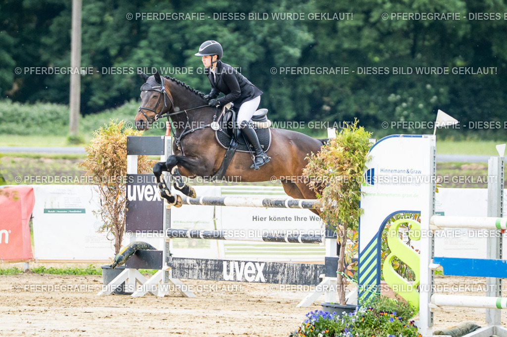 DSC04289 | Pferdegrafie