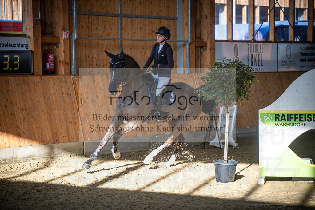 DOS_1303 | Entdecke hochwertige Reitturnierfotos von Foto Oger. Professionell, emotional und authentisch – jetzt Lieblingsmomente im Shop bestellen.Deutschlandweite Turnierfotografie. - Realisiert mit Pictrs.com