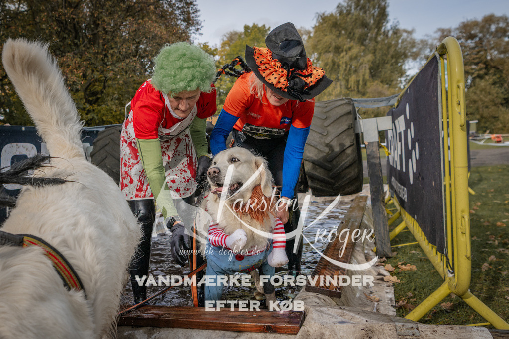 1447_ZZ90207 | kk-dogfotos