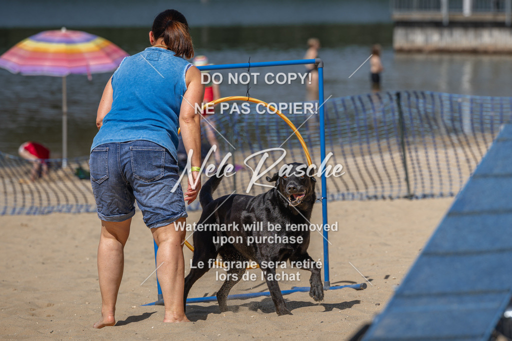 nelerasche_saBeachility_555 | nelerasche