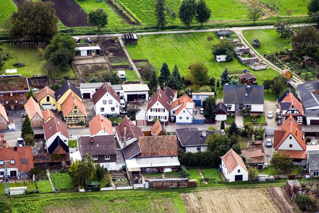 Luftbild: Gänsried in Freckenfeld im Bundesland Rheinland-Pfalz in Deutschland. Foto: IMG_4456.jpg vom 22.10.2006 durch Werner Riehm/FLY-FOTO.de
