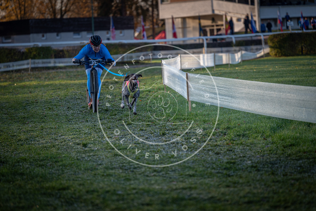 CaniXpix_0L8A1782 | Hundefotografie, Tierfotograf, Pfotenfotografie, Fotoshooting Hund, Hunde Portrait, Hundesport, Hundeportraits, Heideshooting, Hunde, Sportfotograf, Hundefotograf, Turnierhundsport, THS,  - Realisiert mit Pictrs.com
