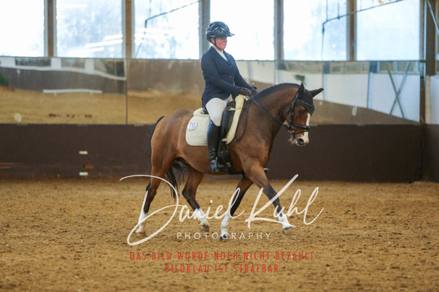 IMG_7713 | Turniersportfotografie; Pferdefotografie; Dressurfotografie