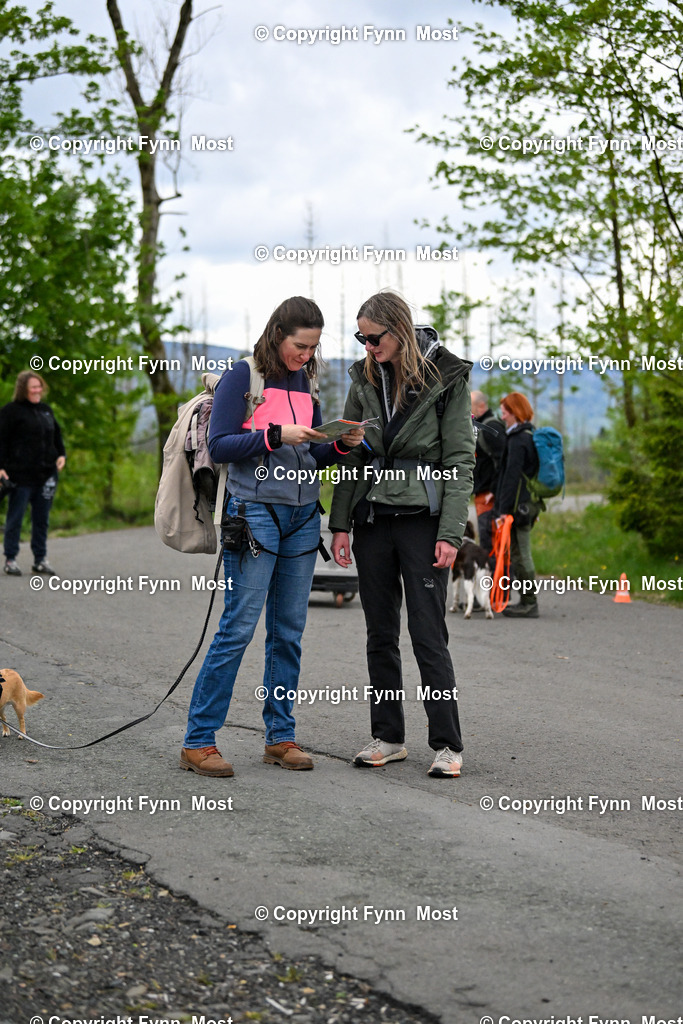 DSC_7506 | Hallo und herzlich Willkommen auf meiner Shop-Seite Fynn Most.

Ich wünsche Dir viel Spaß beim stöbern durch die Bilder, wenn Du Fragen hast oder Bilder vermisst, kannst du mir gerne eine Nachricht schreiben. - Realisiert mit Pictrs.com