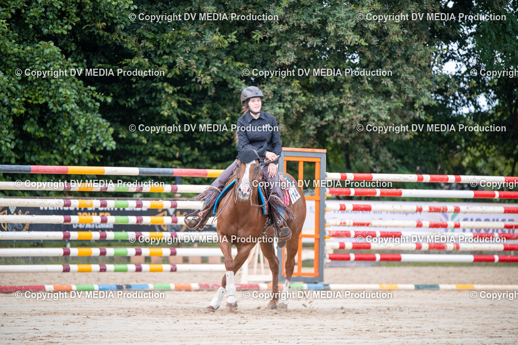 ZS3_5533 | dv-media-shop - Realisiert mit Pictrs.com