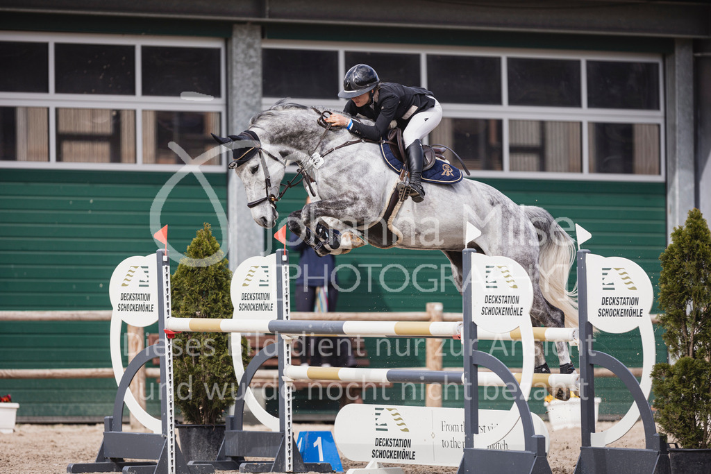 250506_Mühlen_SprPf-L2-485 | Deine schönsten Turniermomente als professionelle Fotos! Entdecke hochwertige Pferdesport-Fotografie im Online-Shop. Jetzt Fotos finden & bestellen!