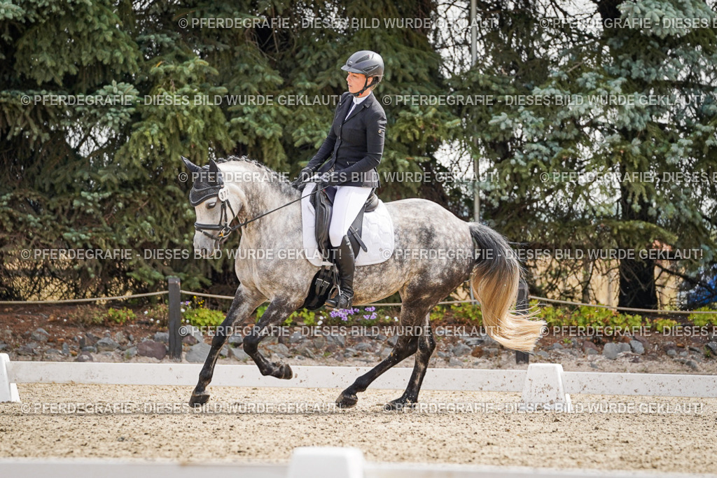 DSC07762 | Pferdegrafie