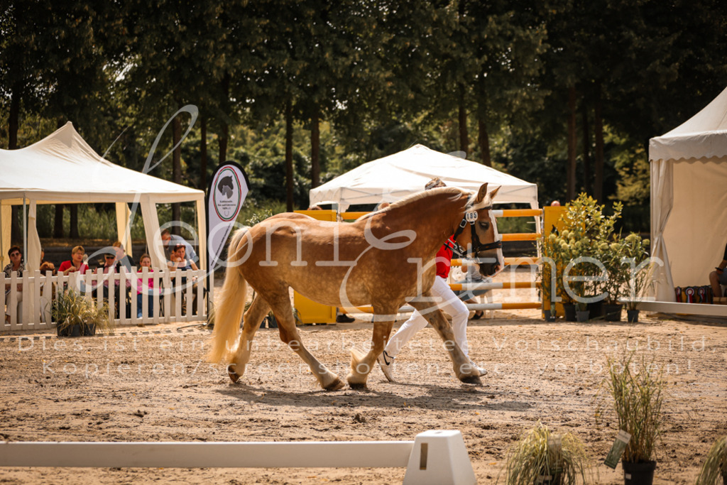 2.Sa00060 | Leoni Ertmer Photography - Realisiert mit Pictrs.com