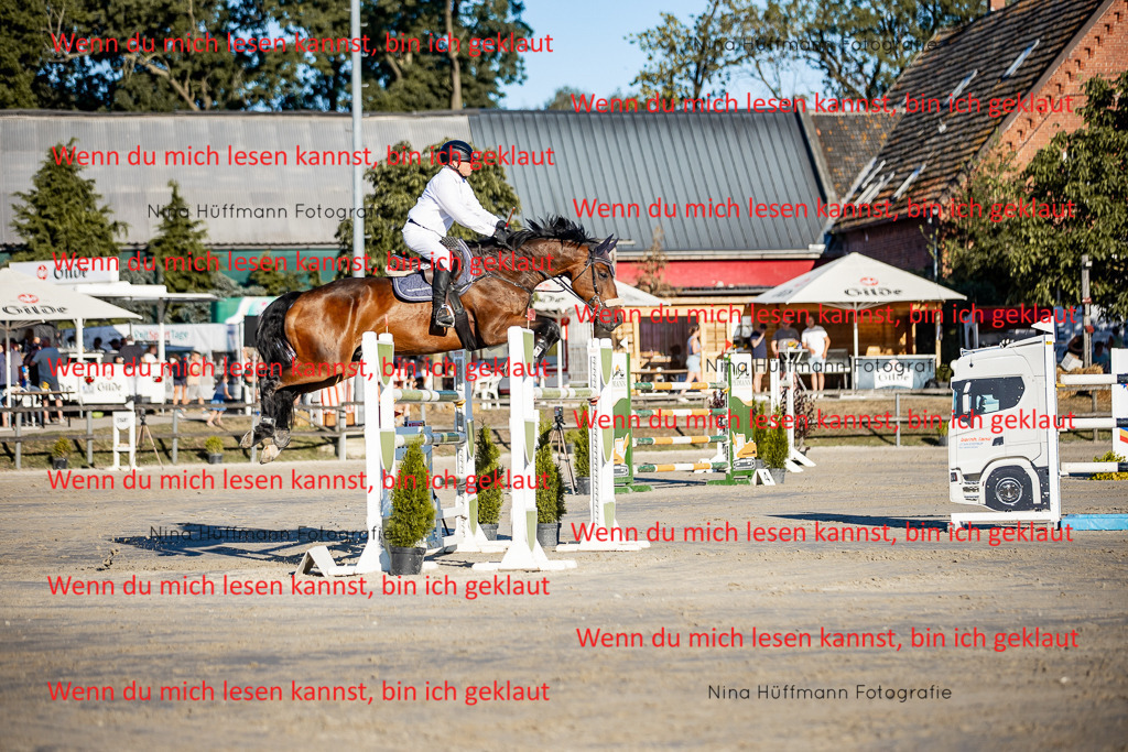 BK1A8430 | Turnierbilder Turnierfotos Nina Hüffmann Turnierfotografie Pferdefotografie Tierzeichnung Haustierzeichnung Pferdezeichnung Hundezeichnung Videograf  - Realisiert mit Pictrs.com