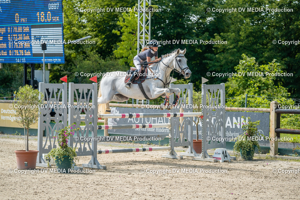 Hessische Tag 3-072 | dv-media-shop - Realisiert mit Pictrs.com