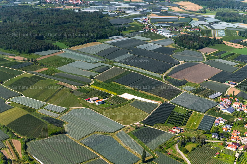 Obstanbaulandschaft  bei Kippenhausen | IMMENSTAAD AM BODENSEE 17.05.2020 Baumreihen einer Obstanbau- Plantage auf einem Feld im Ortsteil Kippenhausen in Immenstaad am Bodensee im Bundesland Baden-Württemberg, Deutschland. // Rows of trees of fruit cultivation plantation in a field in the district Kippenhausen in Immenstaad am Bodensee in the state Baden-Wuerttemberg, Germany. Foto: Gerhard Launer