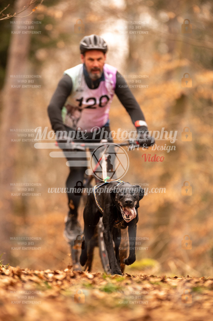 AKM_ST_2023_SAM_Bike-141 | PayLife