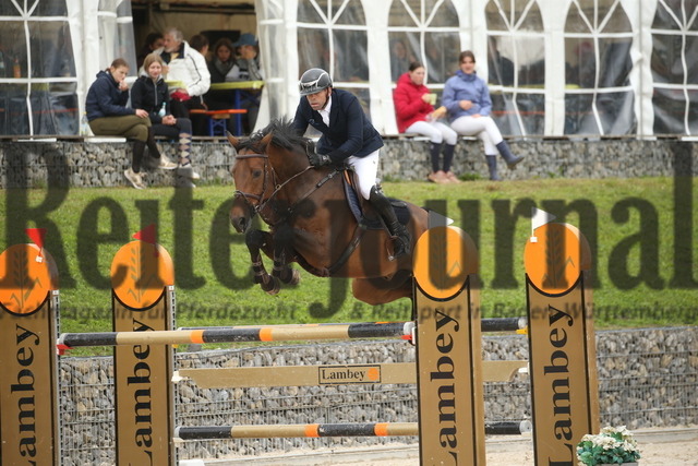 Villingendorf_2022_Prfg.Nr.08_zwei Phasen_Springprfg.Kl.M_Youngster_Adrian Schmid_Pumbaa 7 (7) | Alle Fotos der Reiterjournal Fotografin Doris Matthaes im Reiterjournal Online-Fotoshop. - Realisiert mit Pictrs.com