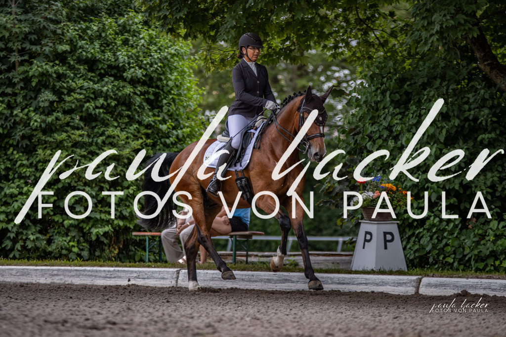 IMG_6231 | Erleben Sie dynamische Sport- und emotionale Tierfotografie in Süddeutschland mit Fotos von Paula. Spezialisiert auf Pferde- und Hundefotografie sowie Sportevents. Kontaktieren Sie mich für einzigartige und ausdrucksstarke Bilder Ihrer besonderen Momente.