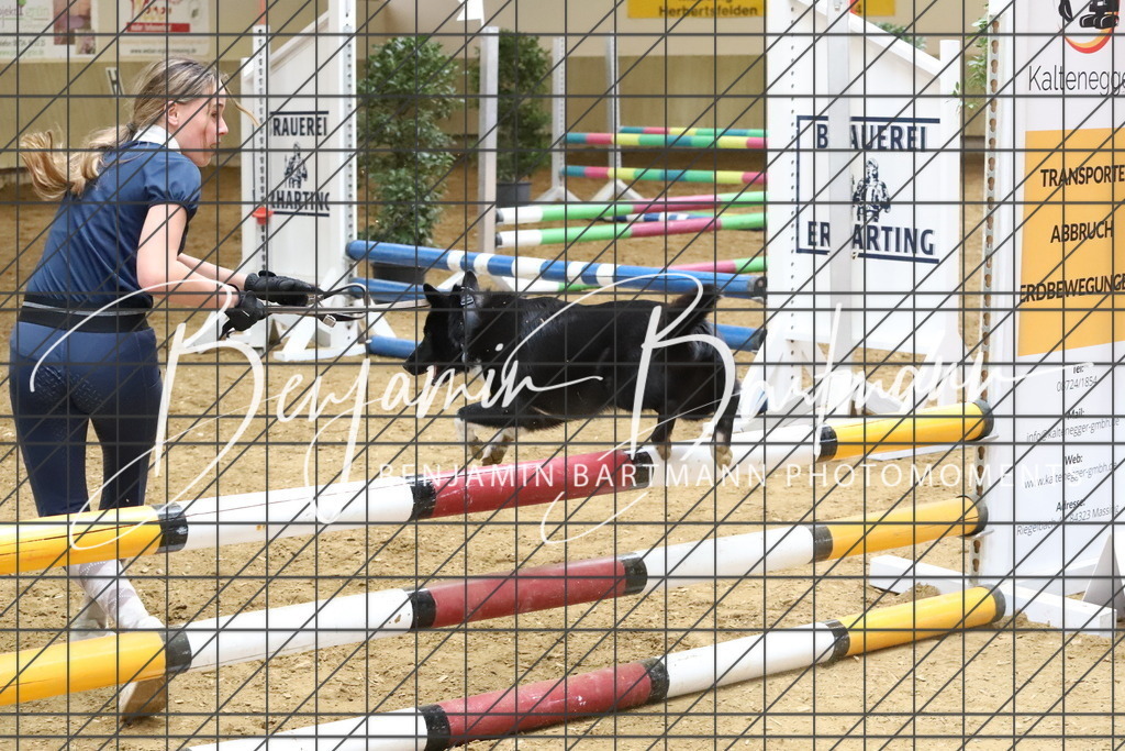 IMG_3937 | Benjamin Bartmann Photomoments