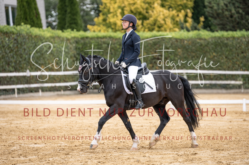 Schugtsche-Aluta25-40.DressurprfA_-448 | Schugtsche Fotografie - Realizzato con Pictrs.com