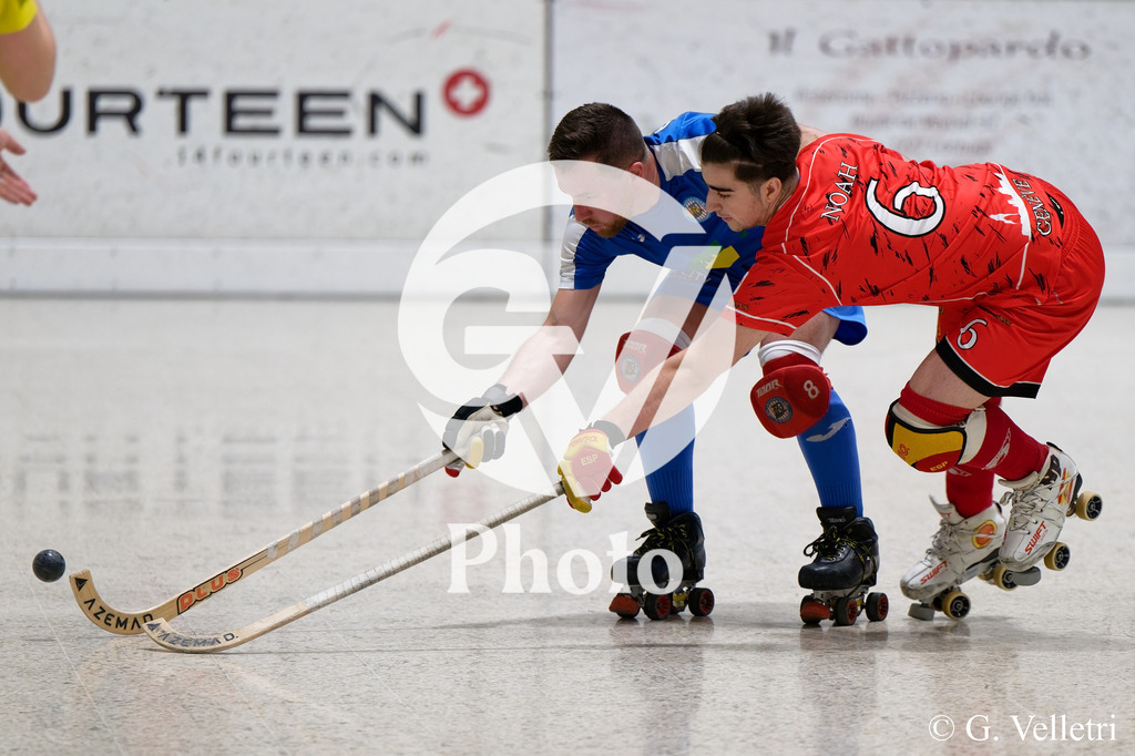 DSC_6163 | Velletri Photo