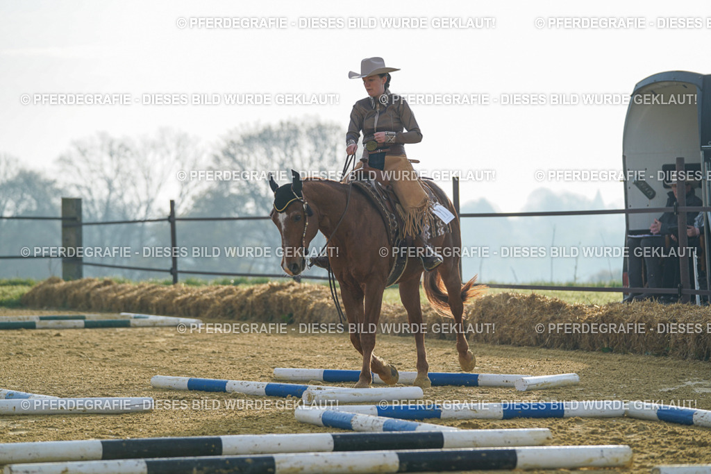 DSC09769 | Pferdegrafie