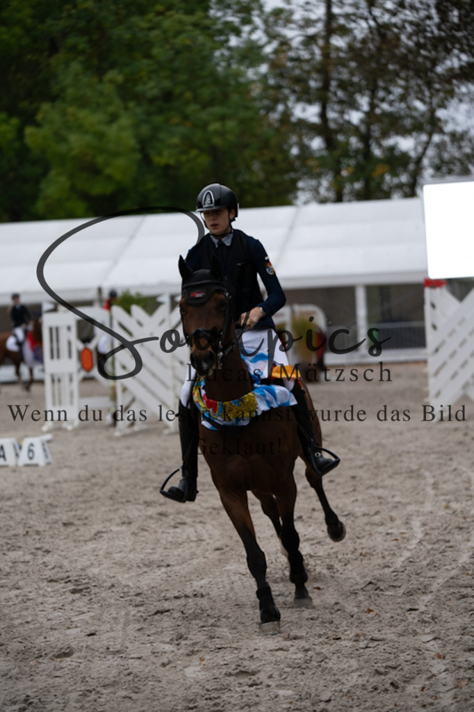 A7V00179 | Turnier/Reitfotograf