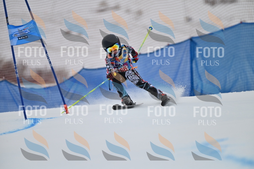 BGV_0366 | holidayphoto