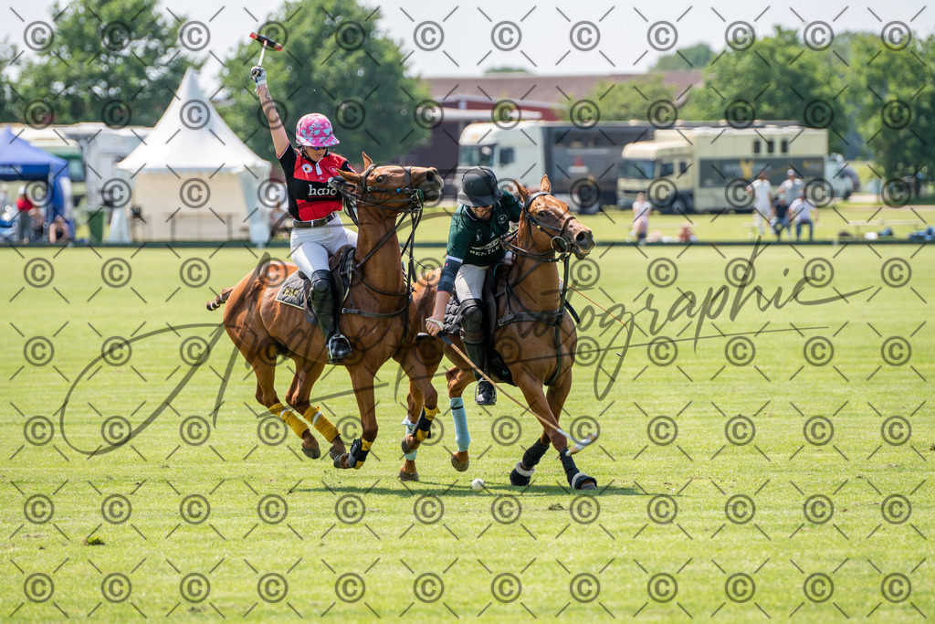 POL_2174 | andre_photographic