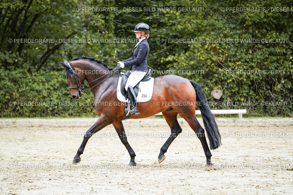 DSC09621 | Pferdegrafie