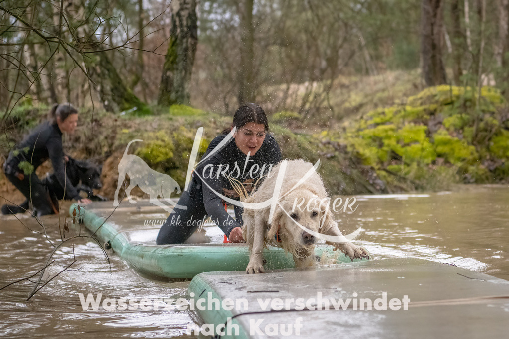 0901_ZZ90107-Bearbeitet | kk-dogfotos