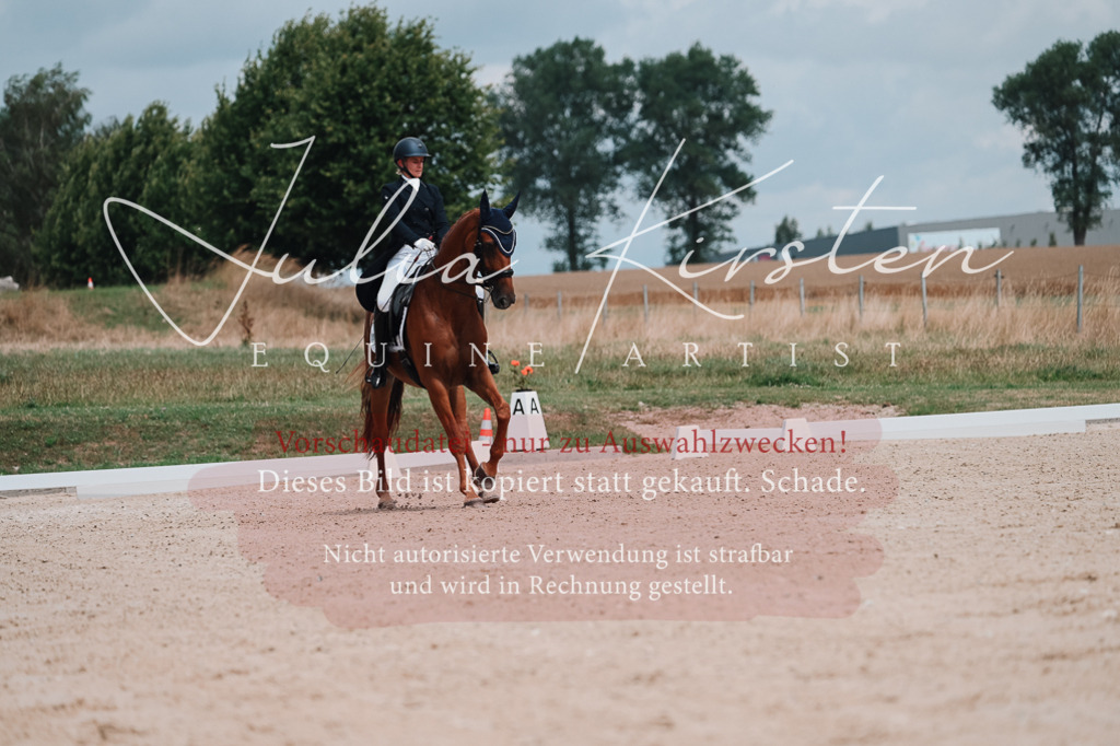 DSC_4231 | Pferde- und Turnierfotografie in Westsachsen. Pferdeportraits, Auftragszeichnungen und intuitive Kunst.