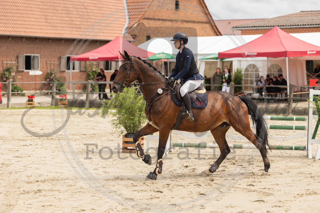 994A9393 | sabrinanicolaifotografie - Realisiert mit Pictrs.com