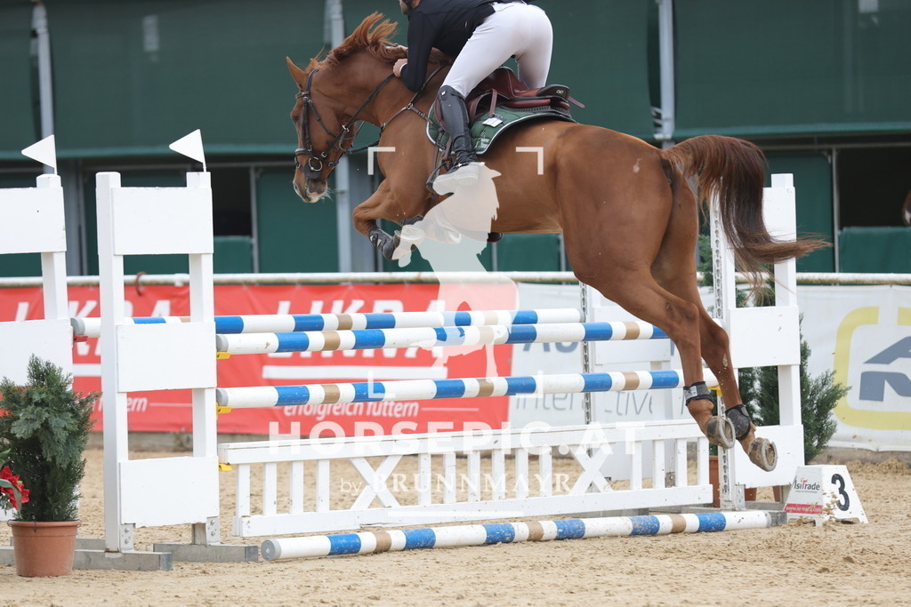 0P6A3144 | Willkommen bei Brunnmayr - Design & Fotografie – Ihrem Spezialisten für Reitturniere und Pferdeveranstaltungen in Oberösterreich, Salzburg und Bayern! Seit über 17 Jahren sind wir leidenschaftlich dabei.
