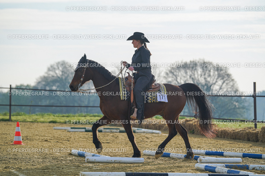 DSC00422 | Pferdegrafie