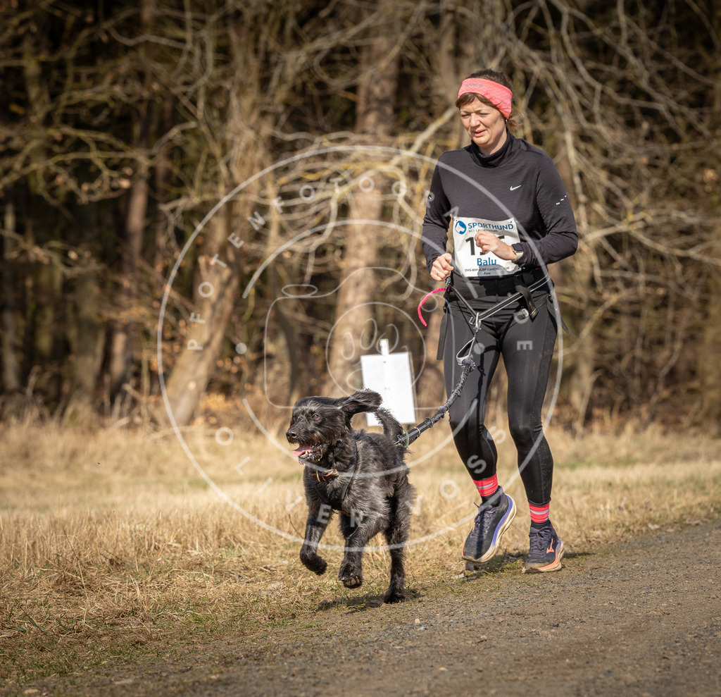 DV3A5862 | Hundefotografie, Tierfotograf, Pfotenfotografie, Fotoshooting Hund, Hunde Portrait, Hundesport, Hundeportraits, Heideshooting, Hunde, Sportfotograf, Hundefotograf, Turnierhundsport, THS,  - Realisiert mit Pictrs.com